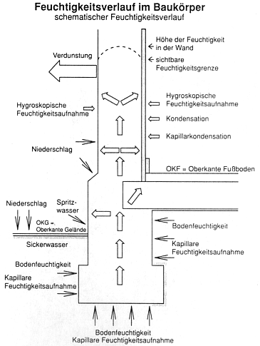 Schematischer Feuchtigkeitsverlauf im Baukrper